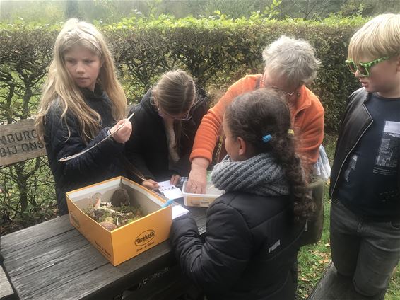 Honderd wandelaars voor paddenstoelen - Houthalen-Helchteren