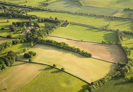 Houtkantenbeheer in Hechtel-Eksel - Hechtel-Eksel