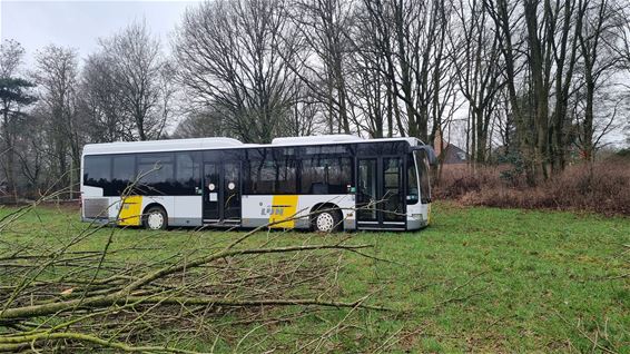 Iemand zijn bus vergeten? - Pelt