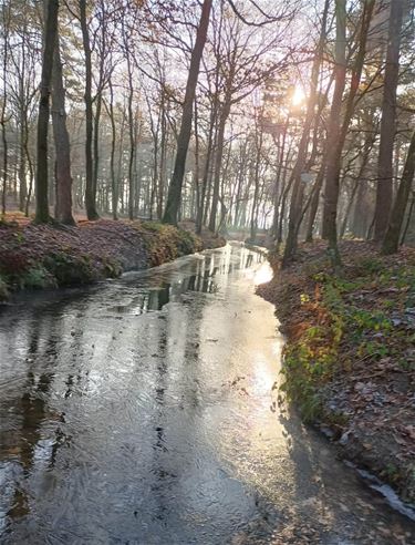 IJs op de Warmbeek - Hamont-Achel