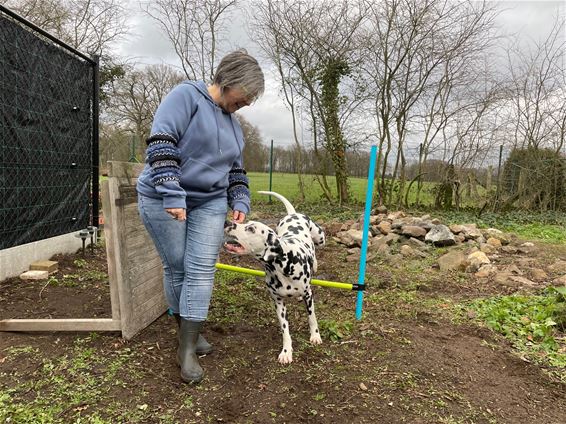 Ilse opent snuffeltuin met hondenfit-o-meter - Beringen