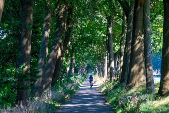 In de schaduw van het kanaal - Pelt