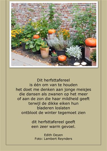 In herfstmodus - Beringen & Leopoldsburg