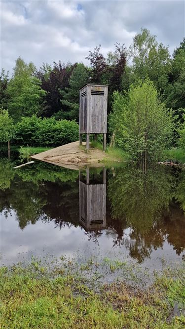 In het Heesakkerpark - Pelt