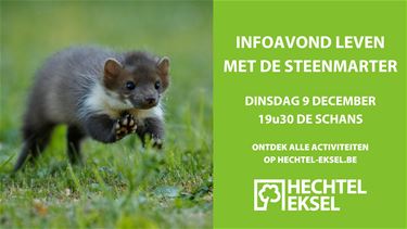 Hechtel-Eksel - Infoavond 'Leven met de steenmarter'