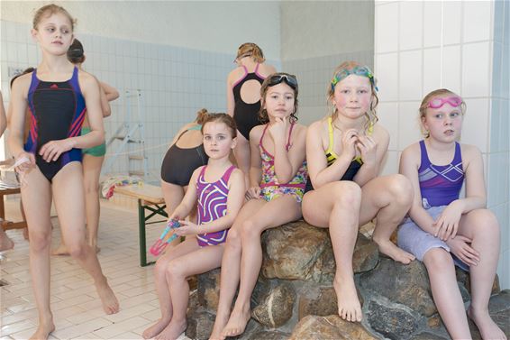 Jaarlijks zwemfeest 'Lommelse Waterbengels' - Lommel