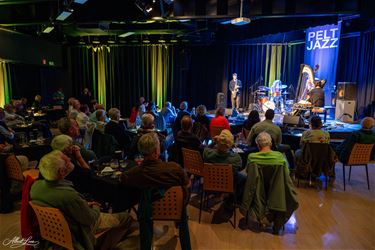 Jazzharp kleurt Pelt Jazz - Pelt