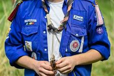 Leopoldsburg - Jeugdbewegingen: ruim 250.000 leden