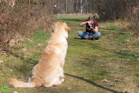 Jonge fotografe Romily Veenstra stelt tentoon - Peer
