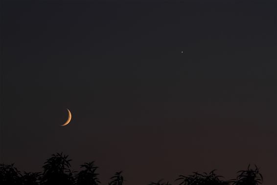 Jonge maan ontmoet Venus aan avondhemel - Peer