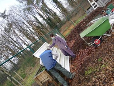 Jongeren bouwen nieuw composthuisje - Beringen