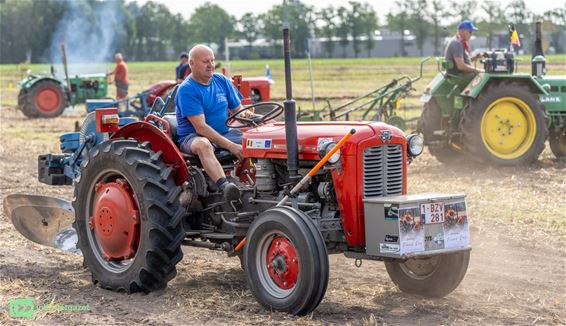 Jos Cuyvers organiseert én ploegt op EK - Pelt