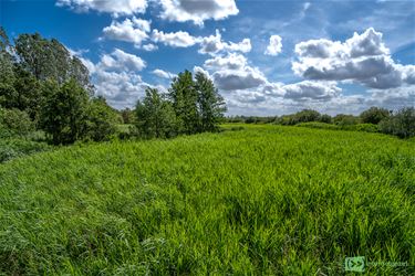 Juni: meer regen, minder zon