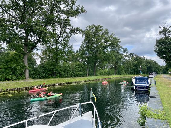 Kanaal van Beverlo: blauwalgen - Leopoldsburg
