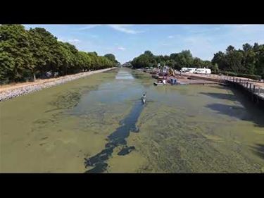 Kanaalwater? Liever in een glas dan in het kanaal - Pelt