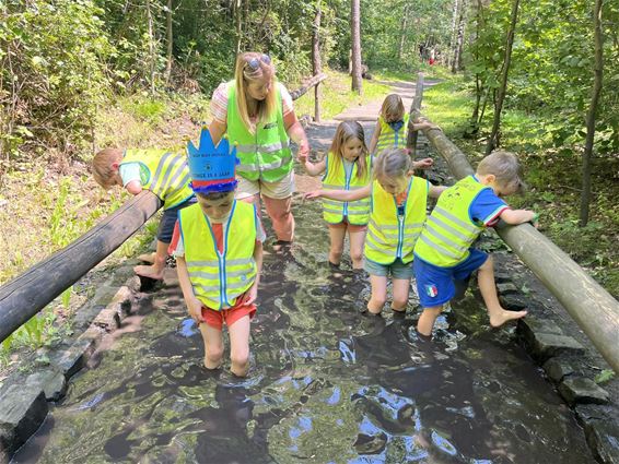 Kapoenendag in Evermaruske - Tongeren