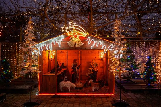 Kerst in de Boterbloemstraat - Leopoldsburg