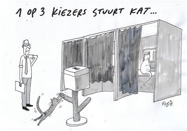 Kiezer stuurt zijn kat