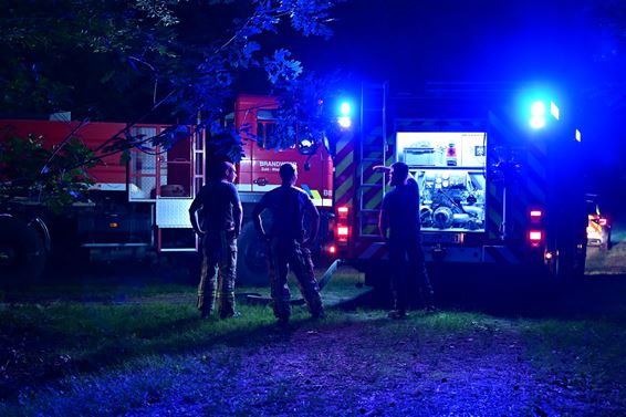 Kleine heidebrand in Koersel - Beringen