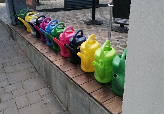 Kleurrijke blikvanger in Piesport - Pelt