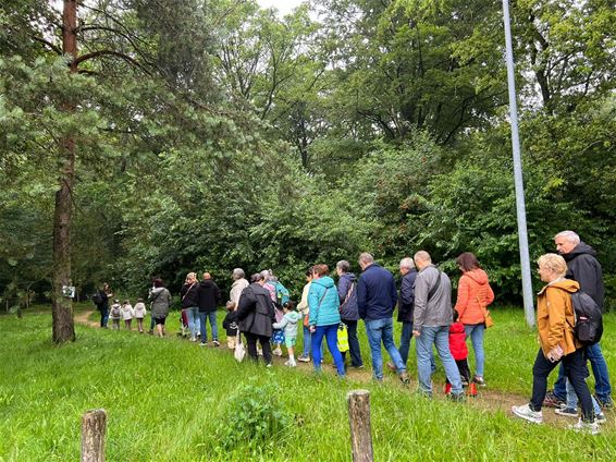 Kleuters maken boswandeling met grootouders - Houthalen-Helchteren