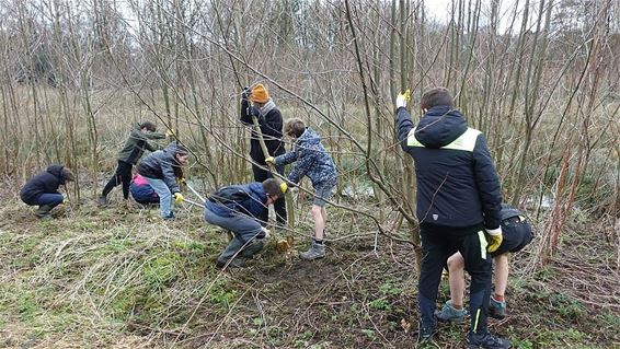 Klim-op werkte in de Gestelbemden - Oudsbergen