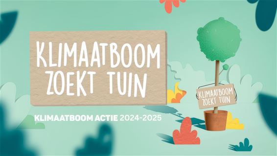 Klimaatboom zoekt tuin - Hamont-Achel