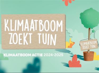 Klimaatboom zoekt tuin - Pelt