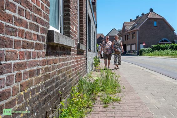 Knelpuntenwandeling toont problemen - Oudsbergen