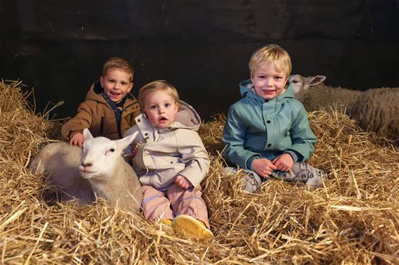 Knuffelen met de dieren in Het Groeiveld - Lommel