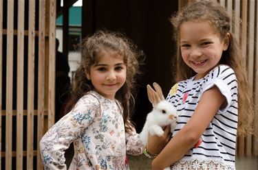 Knuffelen met konijnen en cavia's op Breugelhoeve - Peer