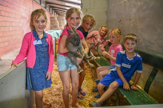 Knuffelen op de boerderij - Lommel