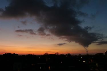 Koekjes voor de Sint - Beringen & Leopoldsburg