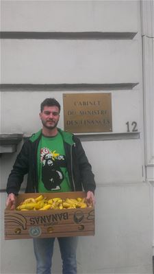 Koerselse bananen voor minister Van Overtvelt - Beringen
