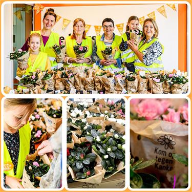 Koop een plantje voor Kom op tegen Kanker! - Lommel