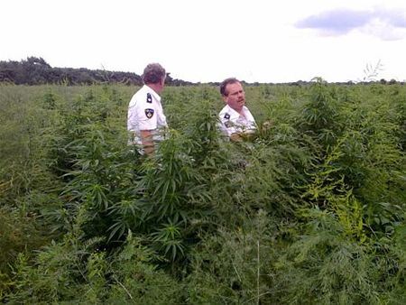 Kort nieuws van over de grens - Hamont-Achel