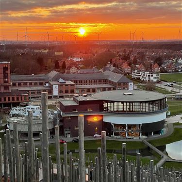 Koud maar zonnig - Beringen