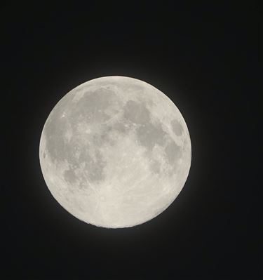 Koude bloedmaan - Beringen & Leopoldsburg