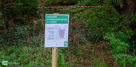 Kritiek op locatie hondenlosloopzone Boseind - Pelt