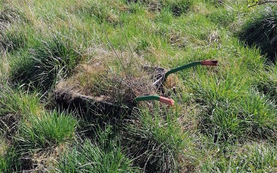 Kruiwagen begraven, klus geklaard? - Pelt