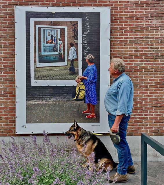Pelt - Kunst met een knipoog