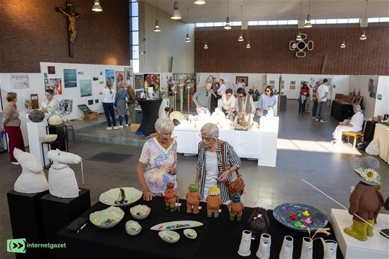 Kunstprikkels lokte al 700 bezoekers naar Boseind - Pelt