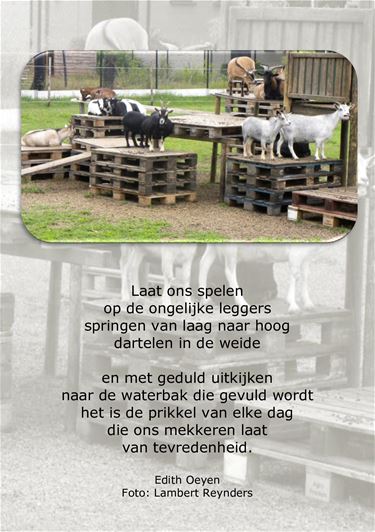 Laat ons spelen - Beringen