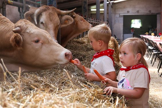 Laatste kampje 'Blij op de boerderij' - Lommel