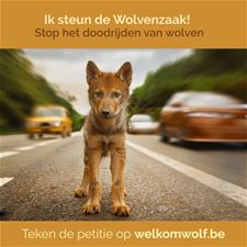 Landschap vzw daagt Vlaamse Regering voor rechter