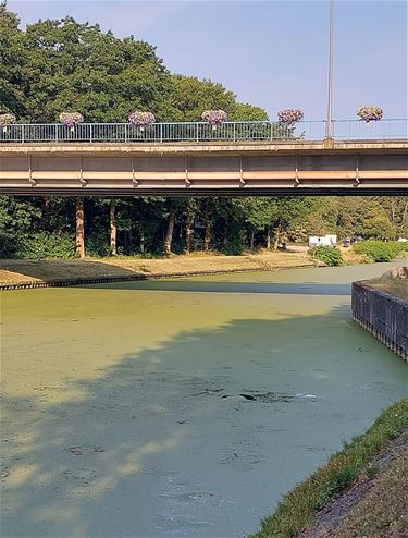 Late St. Patrick's Day op het kanaal? - Lommel