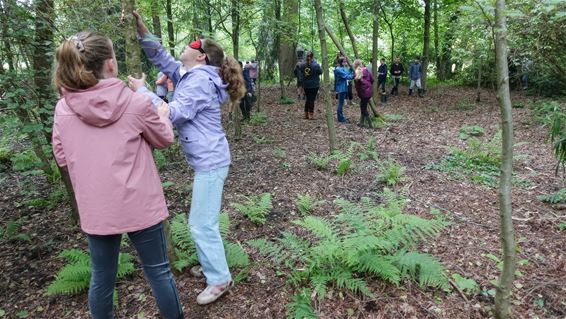 Leerlingen 5des Klim-op determineren waterdiertjes - Oudsbergen