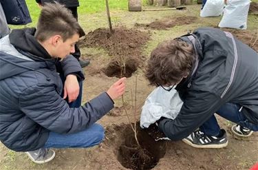 Leerlingen brengen Mini Bos tot leven - Bocholt