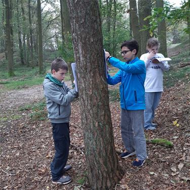 Leerlingen op biotoopstudie - Hechtel-Eksel