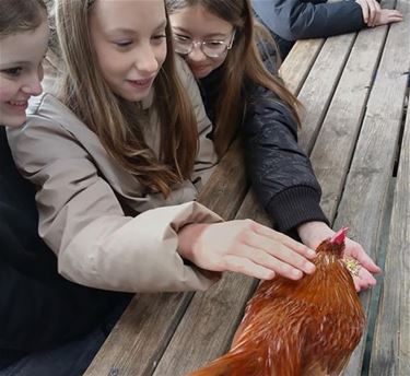 Leerlingen op boerderijbezoek - Peer